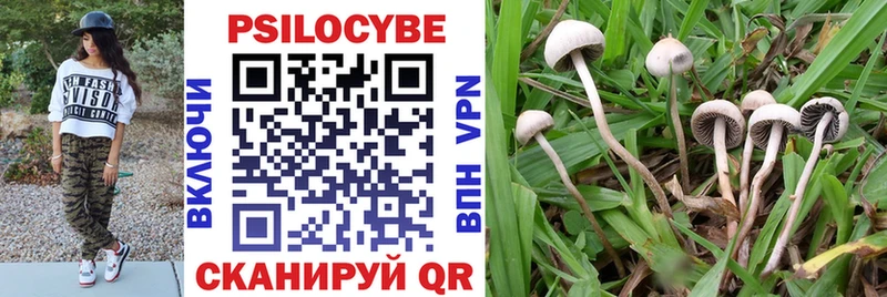 Псилоцибиновые грибы ЛСД Щучье