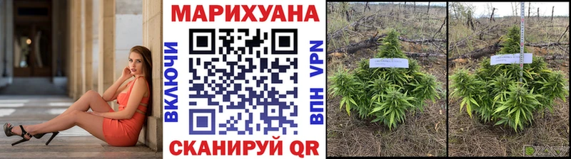 где купить наркотик  Щучье  hydra ссылка  Бошки Шишки гибрид 